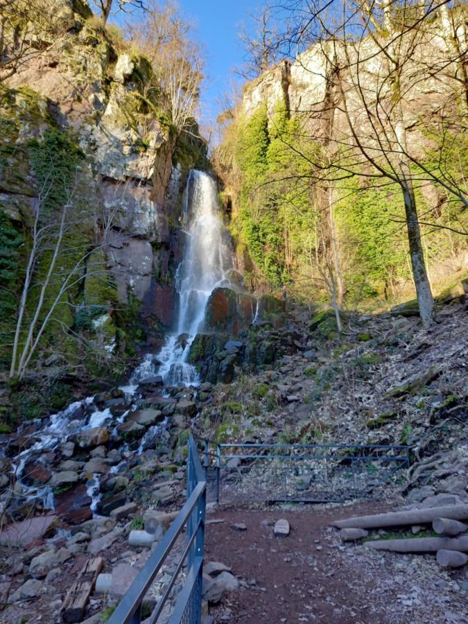 Mittenbach Oberhaslach Экстерьер фото